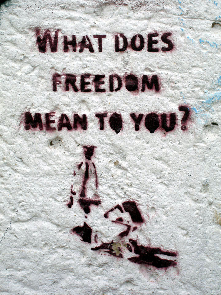 what does freedom means to you